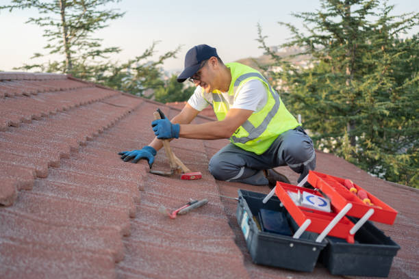 Best Commercial Roofing Services  in Boulder Hl, IL