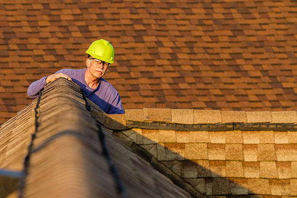 Best Metal Roofing Contractor  in Boulder Hl, IL